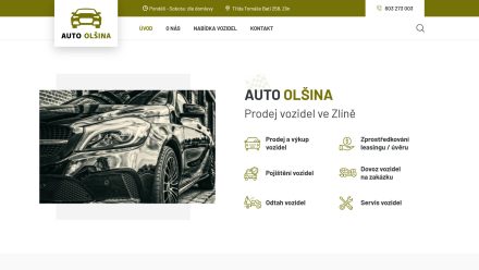 Auto Olšina